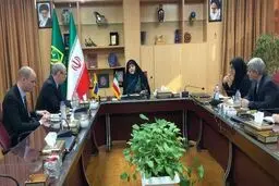 از میان برداشتن سردار سلیمانی یعنی حمایت از داعش 