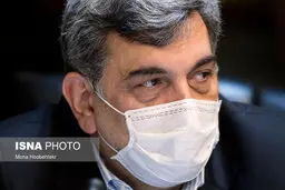 حناچی:  اگر شرایط کرونایی نبود سوله‌ها پذیرای مردم بودند.