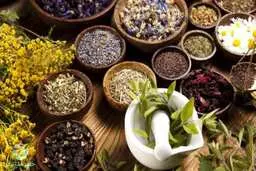 خسارت کرونا به گیاهان دارویی
