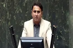  سعیدی، نماینده مجلس: به جای تحقیق و تفحص از چای دبش، شاهد تحقیق و تفحص از واردات اسب و اسپرم منجمد هستیم
