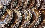 طرز تهیه انرژی بار خرما  | طرز تهیه انرژی‌بار خانگی با خرما؛ سالم، مقوی و بدون شکر

