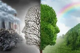 ناامیدی با مغز ما چه کار می‌کند | ارتباط بین ناامیدی و استرس مزمن