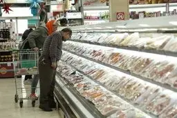 مردم همه مرغ مصرف می‌کنند/ ماهی استفاده کنید 