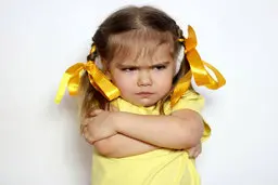 چرا ما ایرانی‌ها از لج‌بازی لذت می‌بریم؟