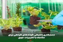 دستکاری ژنتیکی گونه‌های گیاهی برای مقابله با تغییرات جوی