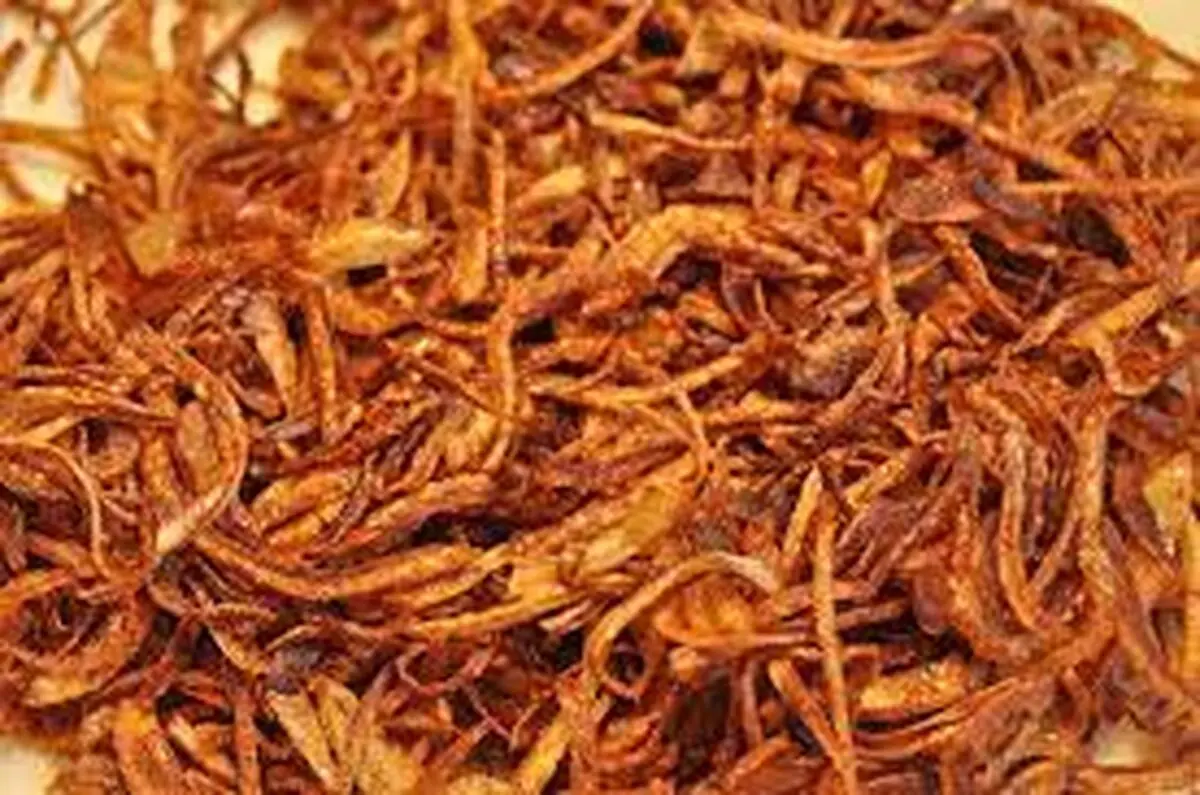 پیازداغ مجلسی قلق داره بیا تا یادت بدم! | طرز تهیه پیاز داغ مجلسی و کریسپی +ویدئو
