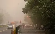 خسارت طوفان دیروز سه شنبه تهران | 9 مصدوم و سقوط 80 اصله درخت