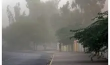 هشدار به پایتخت نشینان؛ وزش باد شدید و گردوخاک در راه است
