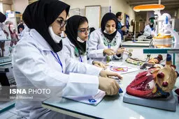 نتایج نهایی آزمون دکتری آبان اعلام می‌شود | اعلام زمان آغاز ترم دانشجویان جدیدالورود