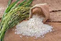
پیشنهاد تغییر ممنوعیت فصلی واردات برنج به تعرفه فصلی
