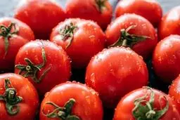 خطرات جدی مصرف بیش از حد گوجه فرنگی برای بدن | خطر گوجه فرنگی برای بدن چیست؟