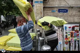 گاری‌چی‌ها مشغول کارند