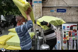 گاری‌چی‌ها مشغول کارند