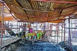  گل‌ها یی که درآتش سوختند