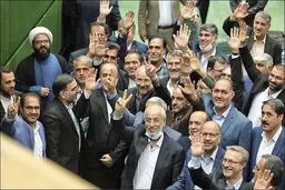آقایان مجلسی راه حل بلد نیستید، باعث گرانی بیشتر هم می شوید!