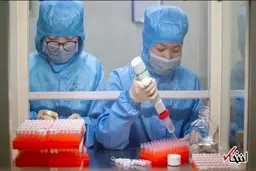 
اختراع دستگاه هوشمند تشخیص سریع کرونا توسط پژوهشگران هنگ کنگی
