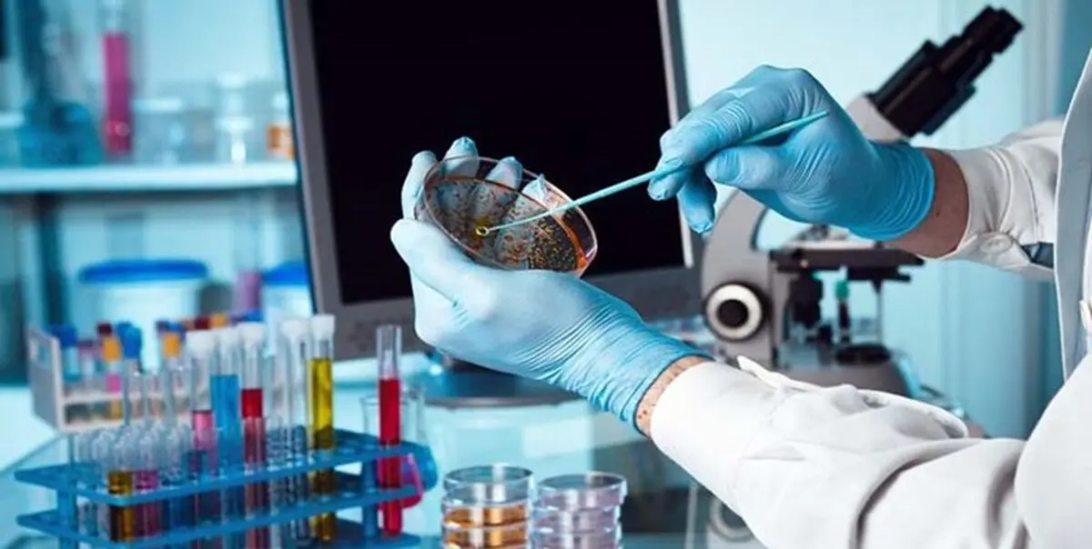 اهمیت تجاری‌سازی و راه‌اندازی کسب و کار دانش‌بنیان کمتر از آموزش و پژوهش نیست