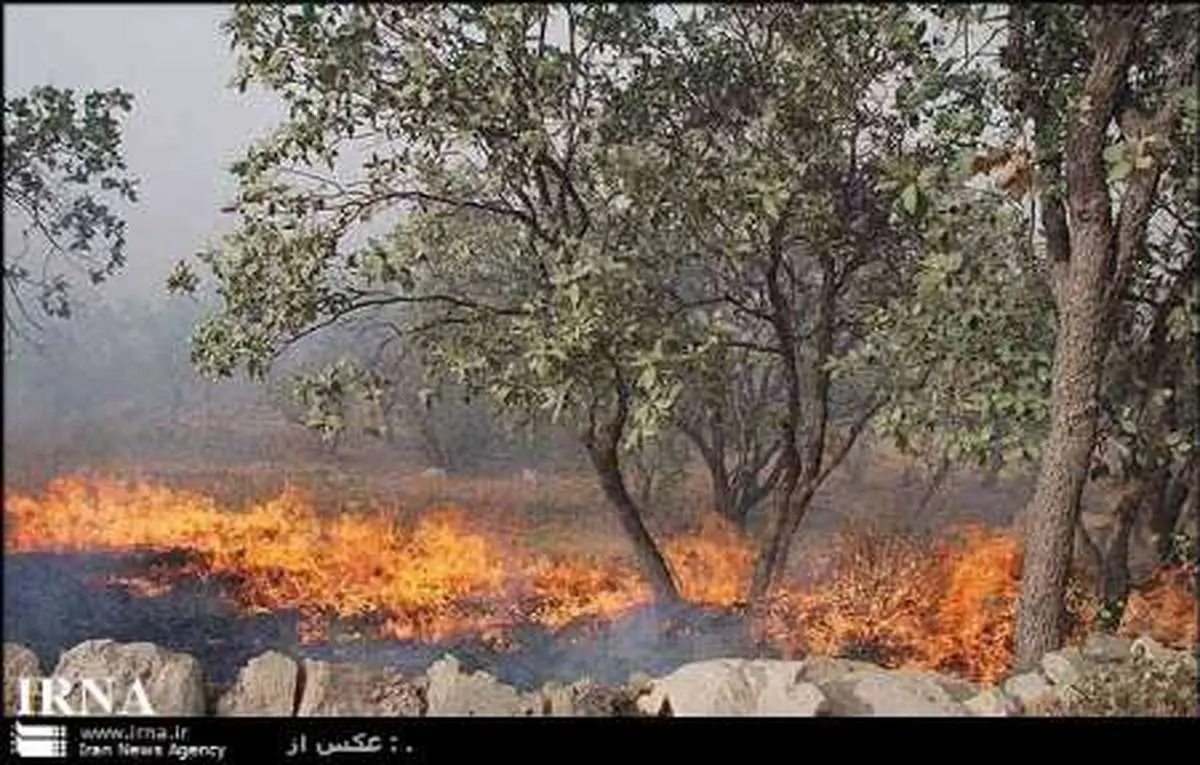 شعله های آتش دوباره به جان جنگل های بلوط اندیکا افتاد
