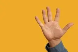 شخصیت شناسی انگشتان دست +تصاویر