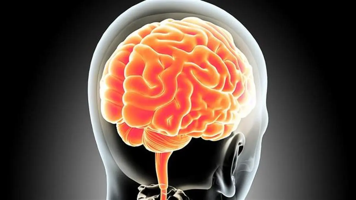 درمان اشتهای کاذب و پرخوری عصبی با تحریک الکتریکی مغز