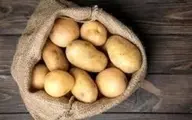 کمبود و گرانی دوباره سیب زمینی در بازار
