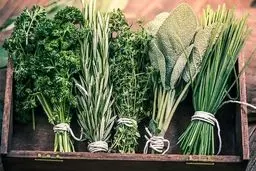 معرفی  9 گیاه دارویی برای رفع خستگی مغز