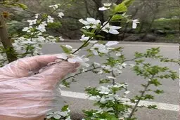 سلام به آینده