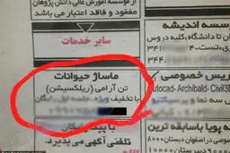 آگهی جنجالی ماساژ حیوانات خانگی+ عکس