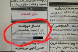 آگهی جنجالی ماساژ حیوانات خانگی+ عکس