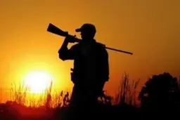 محیط زیست: مجوز شکار به خاطر طاعون نشخوارکنندگان در مازندران صادر نمی‌شود