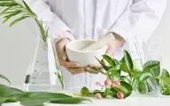 ادغام طب سنتی و طب مدرن در نظام سلامت | اقدامات وزارت بهداشت