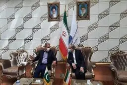 شاه محمود قریشی وارد تهران شد