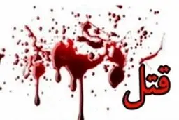 قتل همسر و مادرزنم را قبول دارم |  باید اول پدرزنم می کشتم !