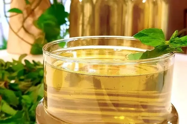 خودت توی خونه شربت سکنجبین درست کن | طرز تهیه شربت سکنجبین خوشمزه و طبیعی به روش سنتی