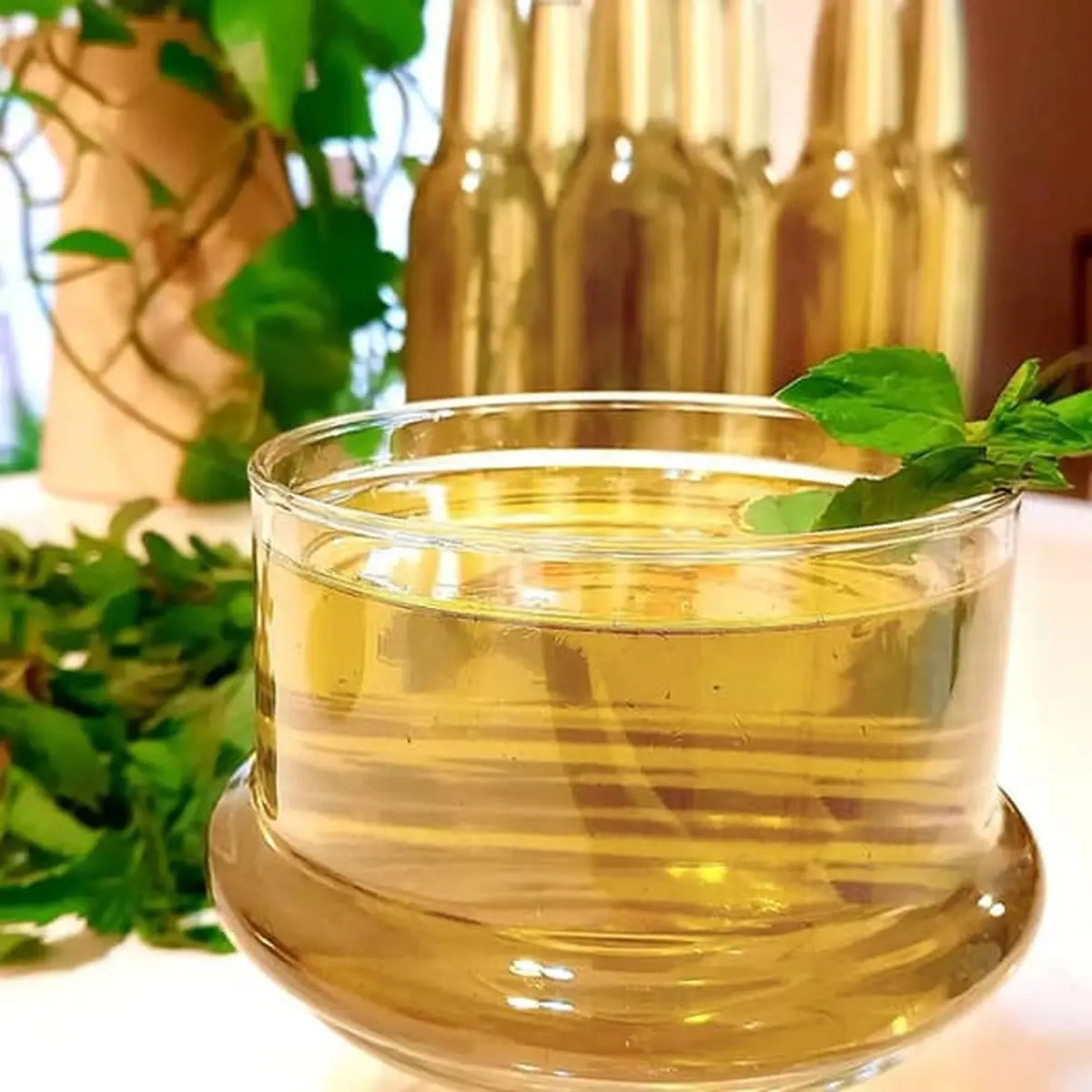خودت توی خونه شربت سکنجبین درست کن | طرز تهیه شربت سکنجبین خوشمزه و طبیعی به روش سنتی