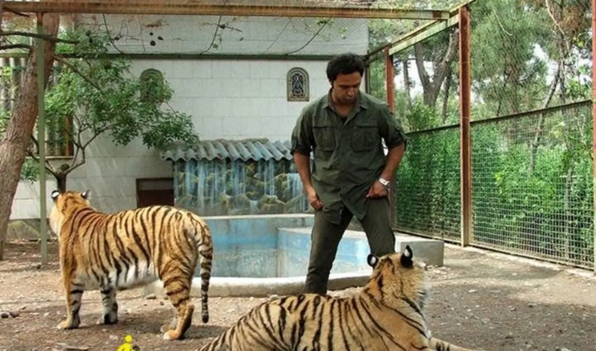 دردسرهای نگه‌داری از حیوانات در بزرگترین باغ وحش خصوصی کشور | مدیر باغ وحش: در دو سال اخیر هیچ حمایتی از ما نشد 