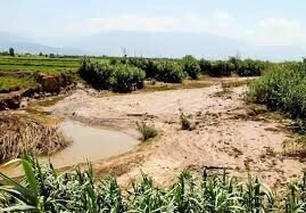تلف شدن ۲۵۰ رأس دام در فریمان بر اثر بارش تگرگ و سیل