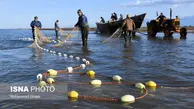 فردا آخرین روز صید ماهیان دریای مازندران 