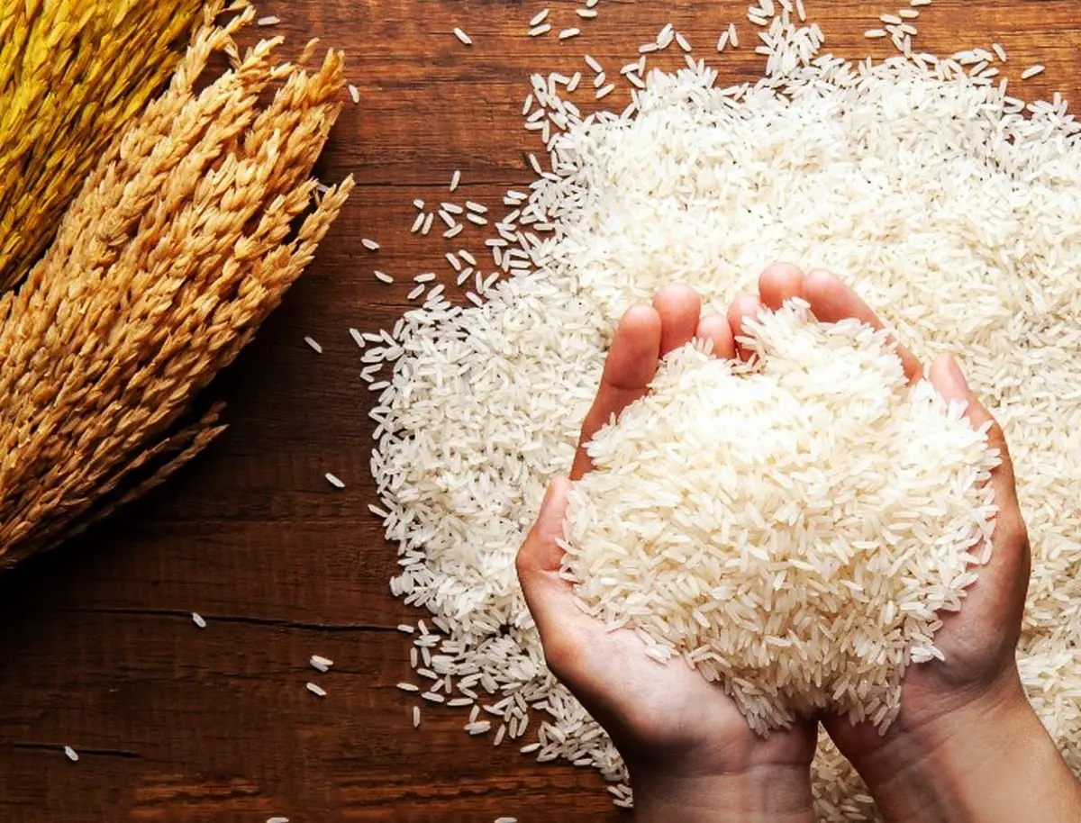 قیمت برنج  بالا رفت