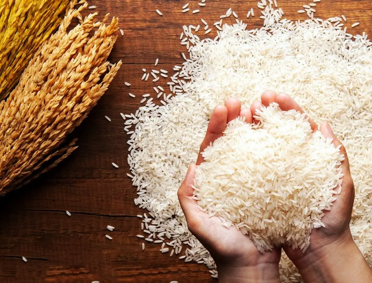 انجمن وارد کنندگان : تغییری در قیمت برنج تا پایان ماه رمضان ایجاد نمیشود