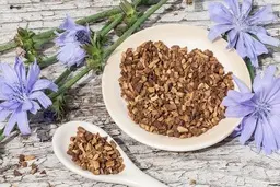 کاسنی؛ متخصص سلامت: از روده و قندخون تا پوست و کاهش وزن