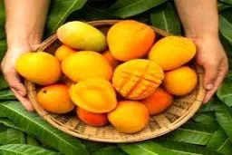 برخی میوها میتوانند به افزایش وزن تان کمک کنند