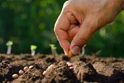 تلاش برای خودکفایی با چه پیامدهایی همراه است؟ | تهدید آتارکی