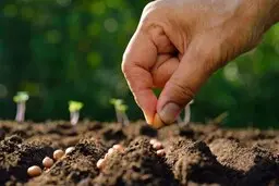تلاش برای خودکفایی با چه پیامدهایی همراه است؟ | تهدید آتارکی