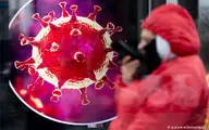 پزشک ایرانی مقیم ترکیه از روشهای موفق کنترل ویروس کرونا می گوید
