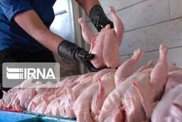 عرضه مرغ در میادین تره‌بار تهران با قیمت ۱۸ هزار و ۹۰۰ تومان