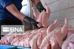 عرضه مرغ در میادین تره‌بار تهران با قیمت ۱۸ هزار و ۹۰۰ تومان