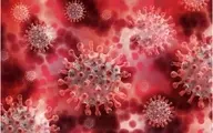شناسایی اولین بیمار مبتلا به ویروس کرونای دلتا در خوزستان 