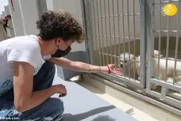  اعمال جریمه برای صاحبان حیوانات خانگی در عربستان! 