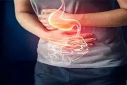  با مصرف  این مواد غذایی درد زخم معده را تسکین دهید 